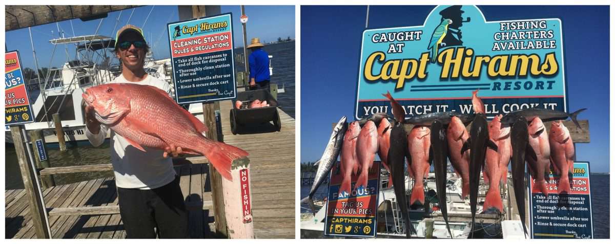 2 photo collage of man holding up a red snapper and fish strung up in front of captain hirams resort sign.