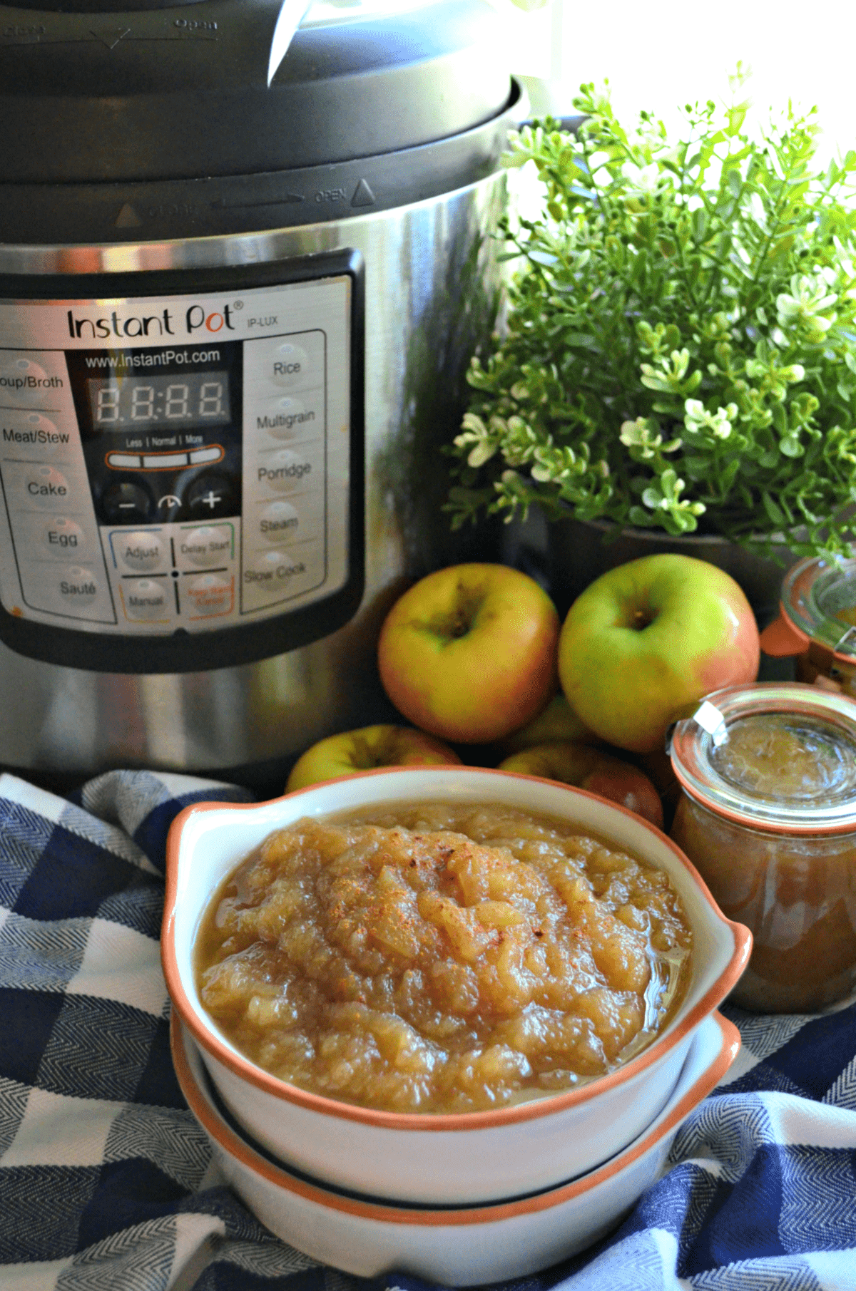 Bowl of applesauce with cinnamon with apples and instant pot in background.