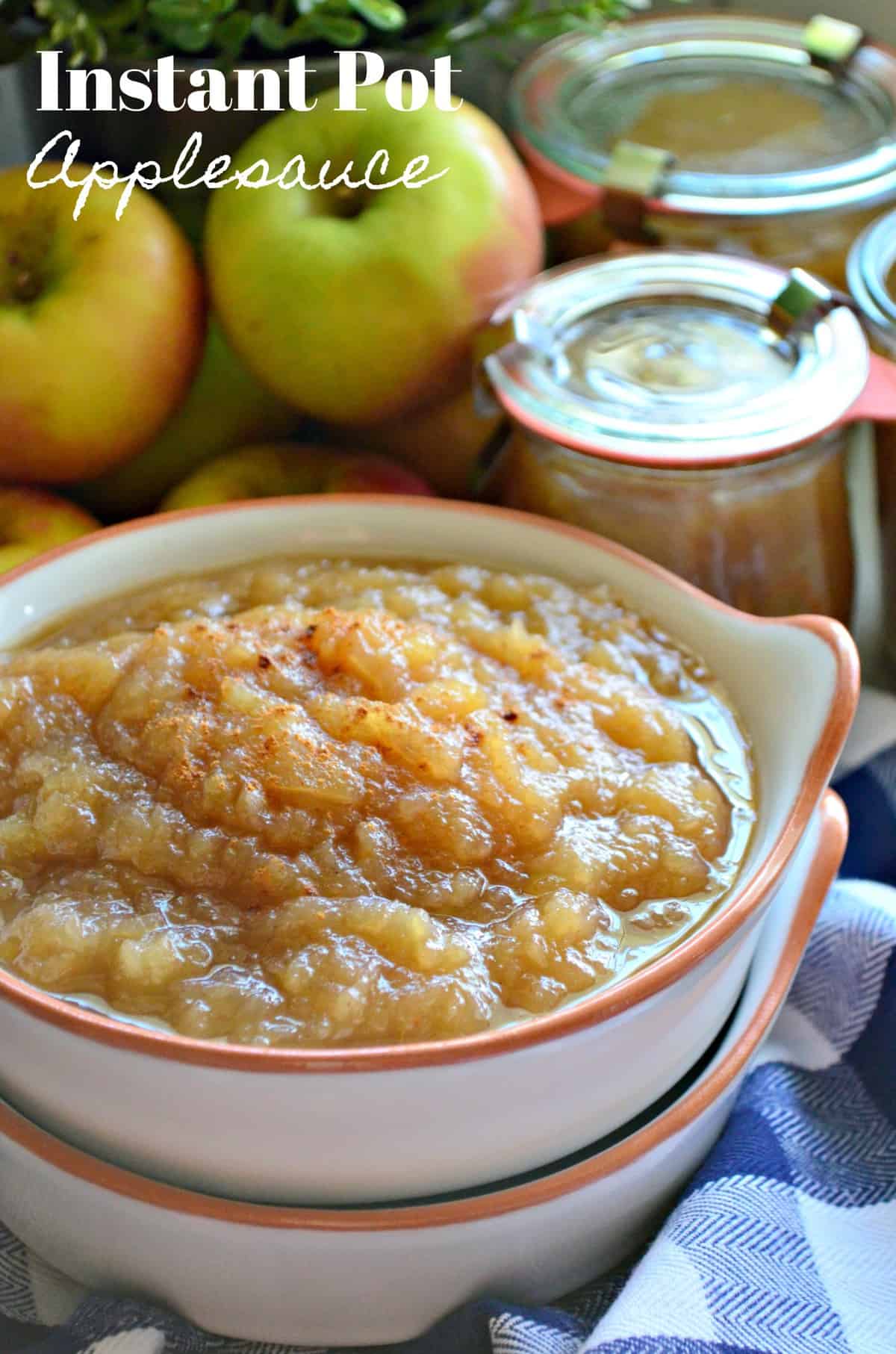 Closeup bowl of applesauce topped with cinnamon with apples in background and title text.