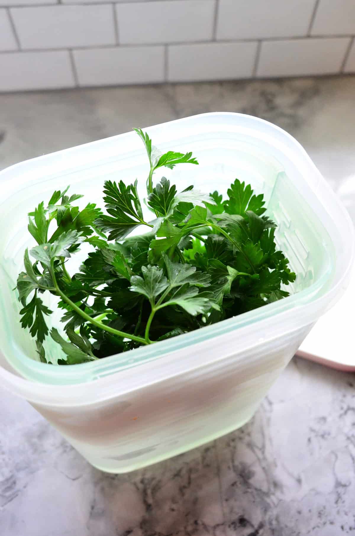 top view of parsley in container.