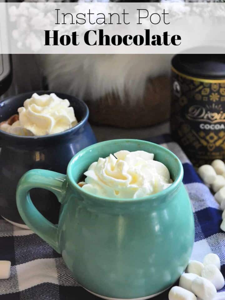 Instant Pot Hot Chocolate