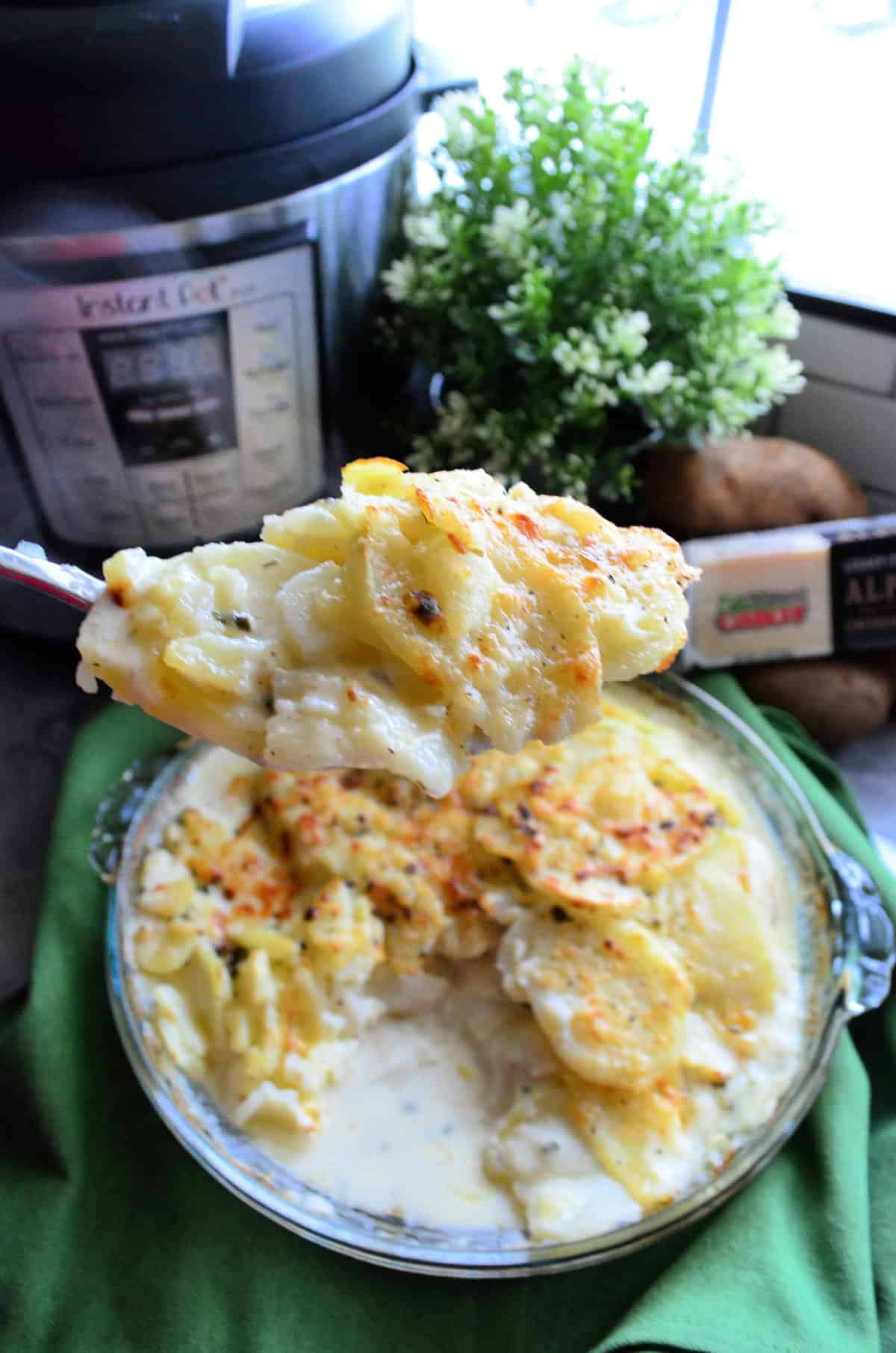 spoon holding up scalloped potatoes with instant pot in background.