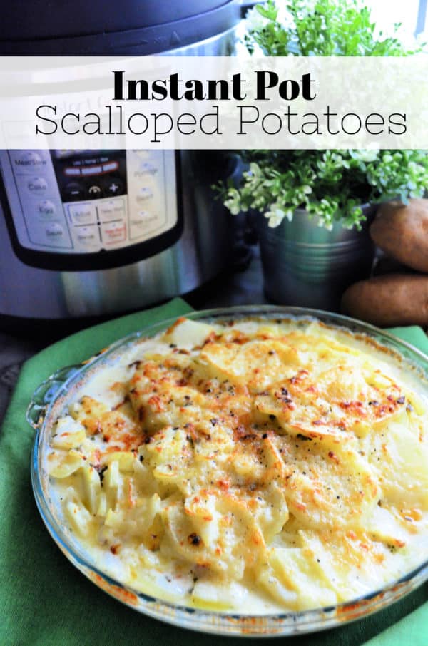 Scalloped potatoes with creamy/cheesy texture in casserole dish in front of instant pot with pinterest title text.
