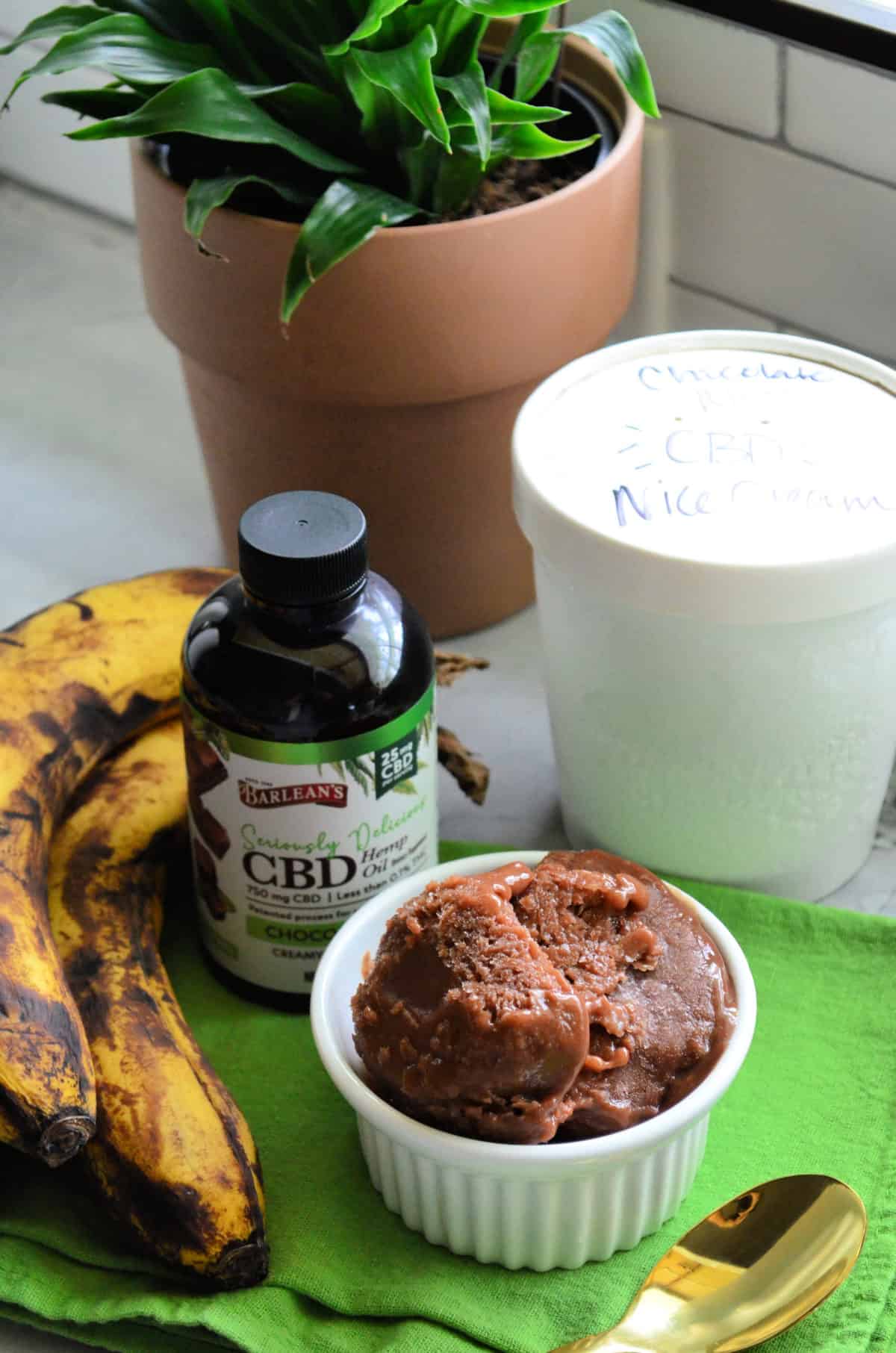 top view bowl of chocolate ice cream next to bananas, CBD oil bottle, labeled pint, and house plant.