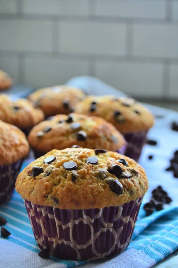Chocolate Chip Muffins Katie's Cucina