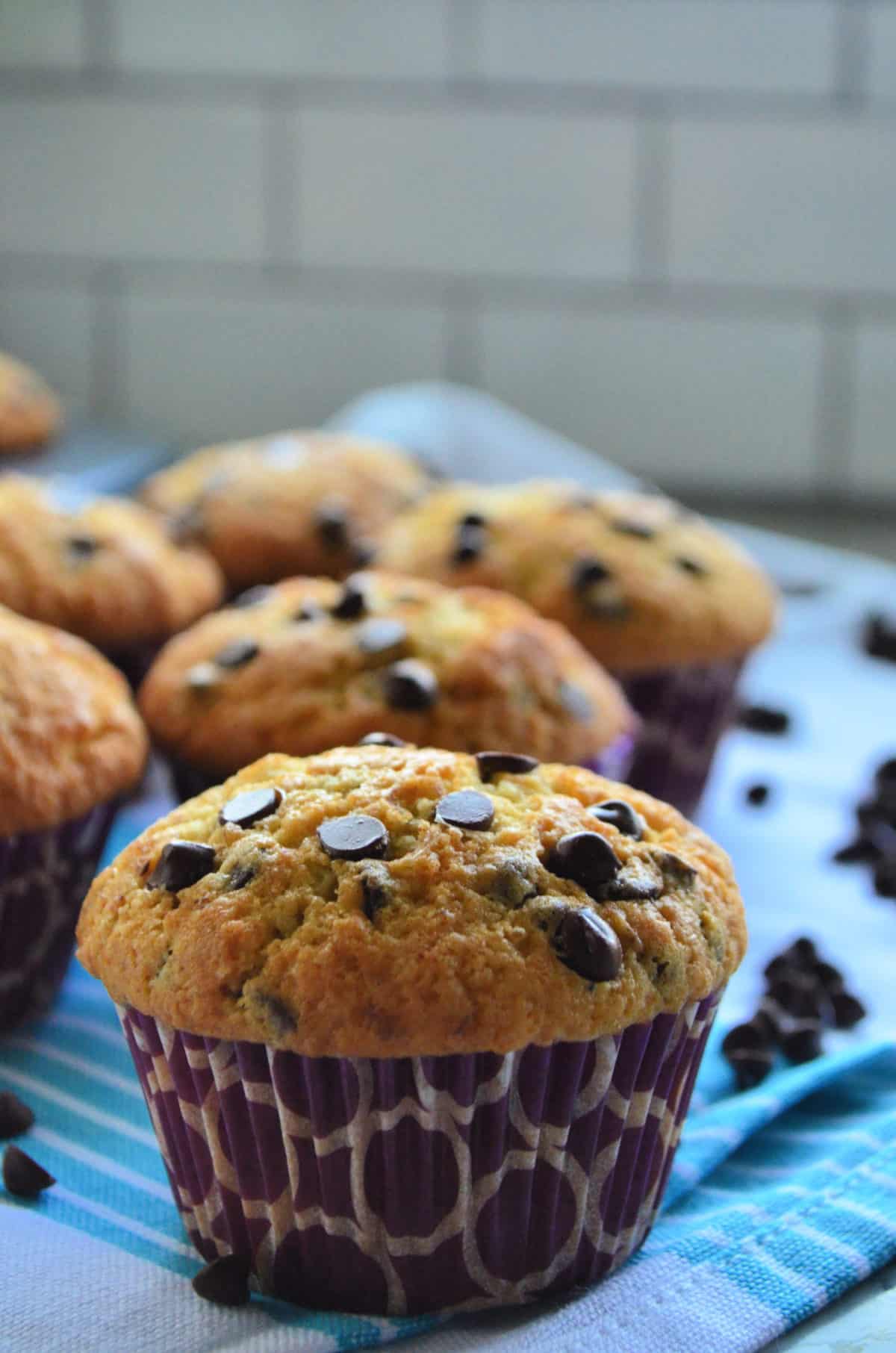 side view of chocolate chip muffin on blue cloth scattered with chocolate chips and muffins in background.