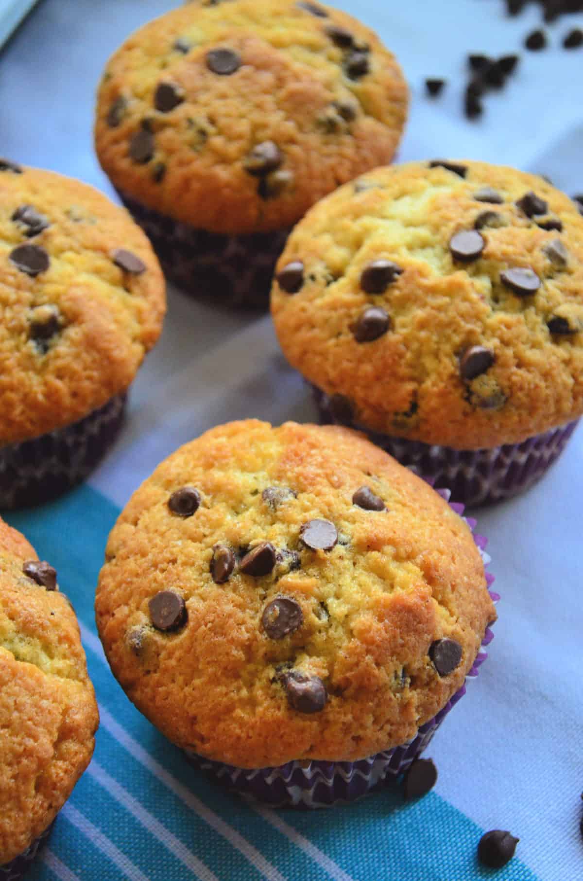 closeup of 3 golden brown chocolate chip muffins on blue striped cloth scattered with chocolate chips.