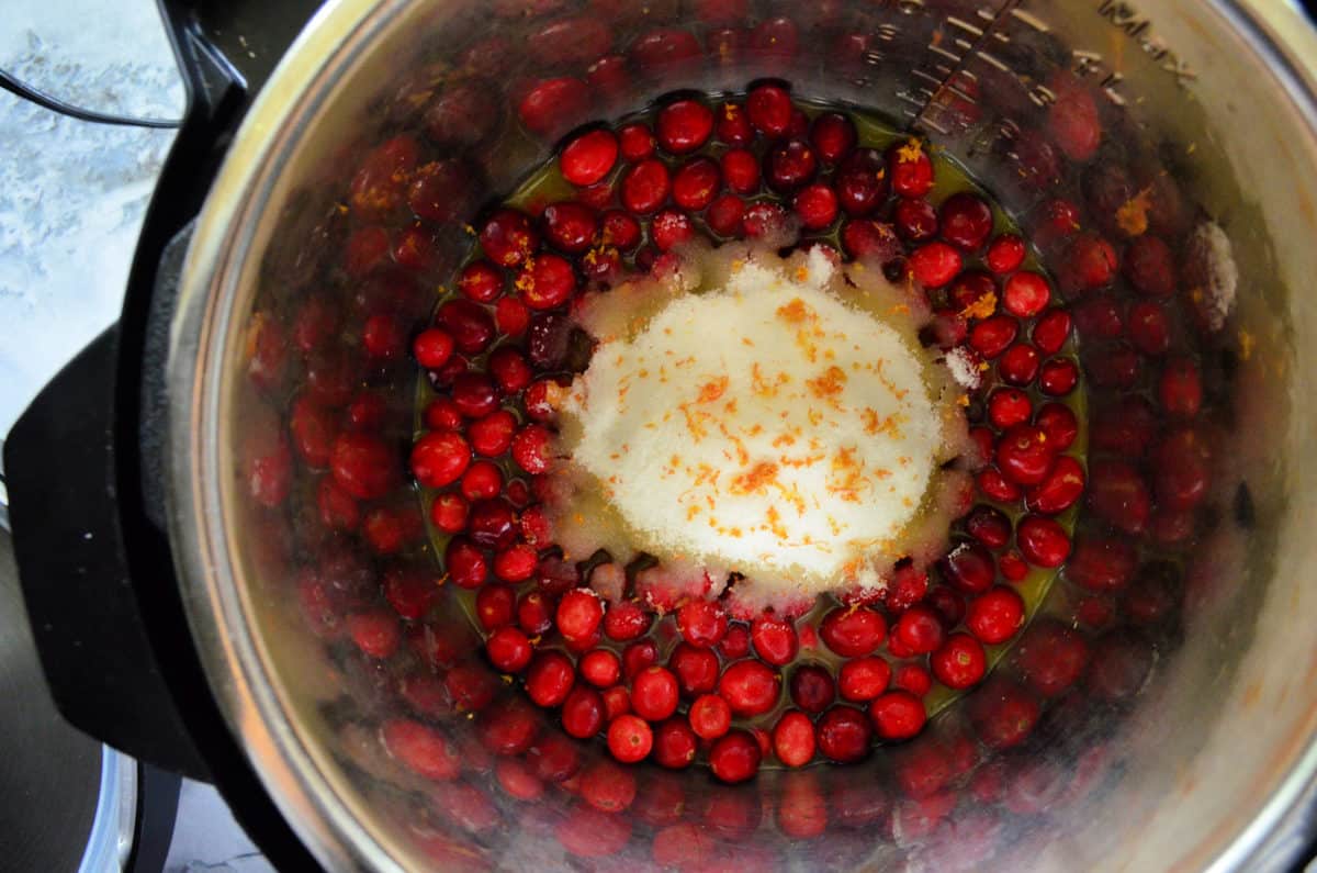 Instant Pot Cranberry Sauce without Orange Juice