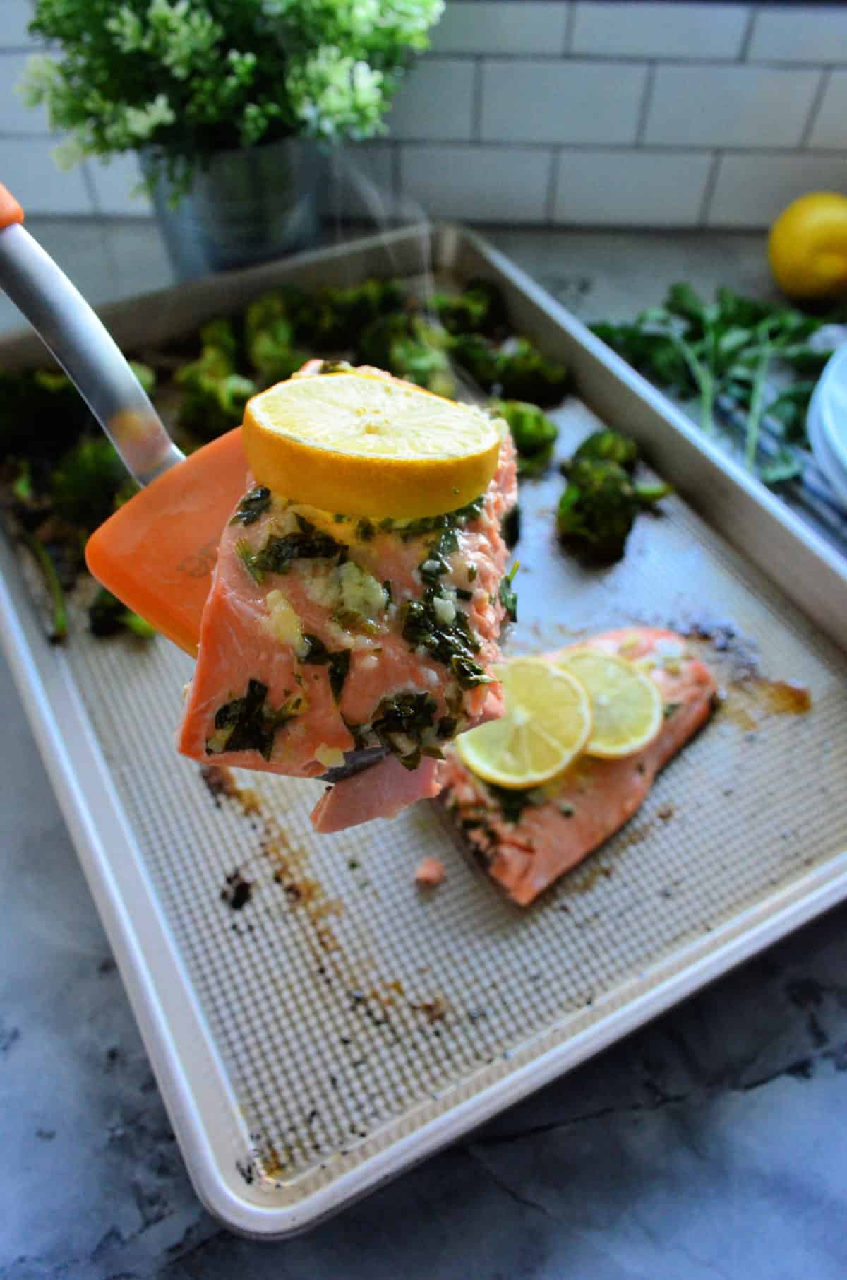 spatula holding herb-buttered salmon topped with lemon wheel over pan of remaining salmon.