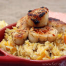 Pumpkin Spiced Alaskan Scallops over Butternut Squash Orzo.