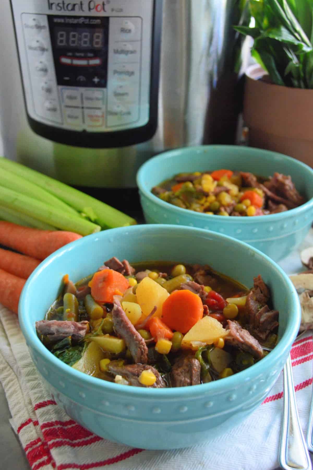 Two bowls Vegetable Beef Soup next to fresh celery and carrots with  Instant Pot in the background.