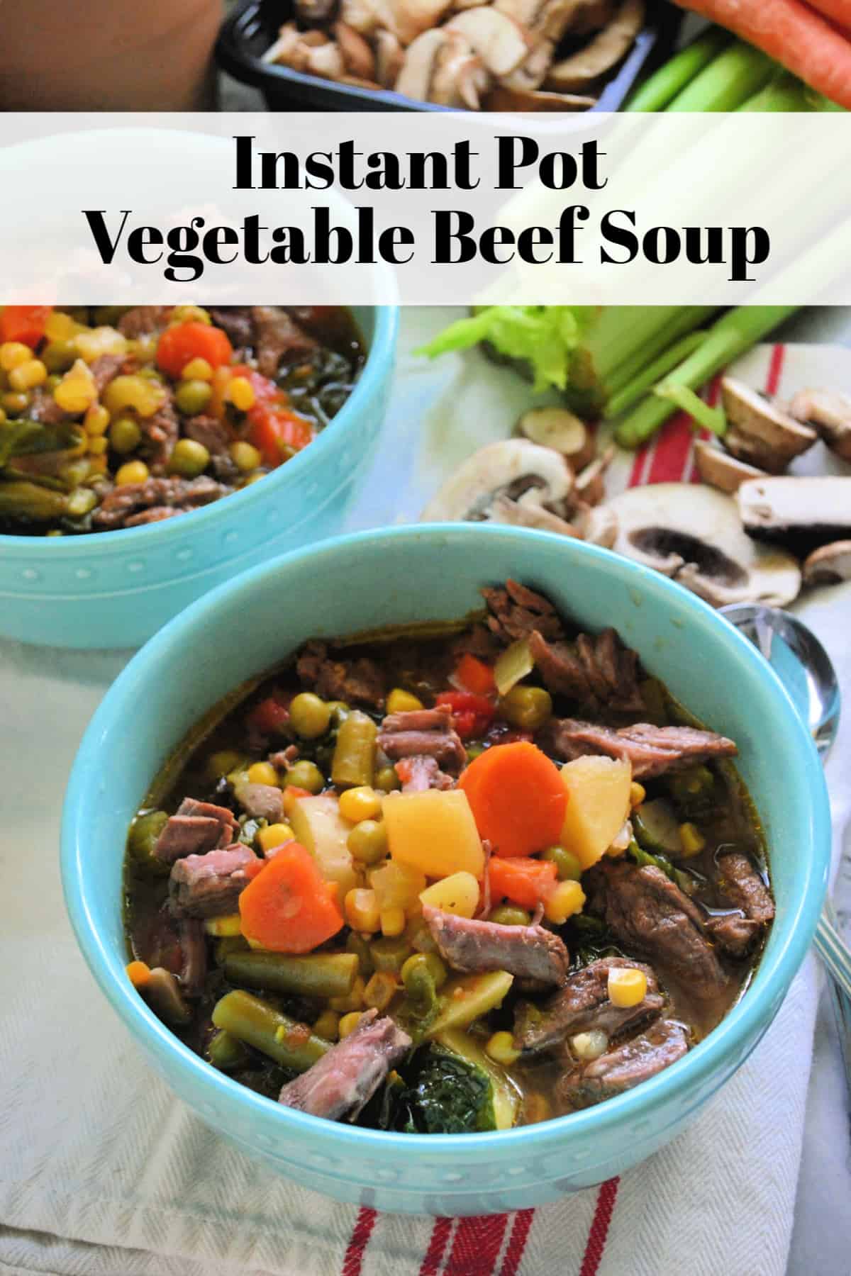 2 bowls of soup with beef, carrots, green beans, corn, and peas visible on countertop.