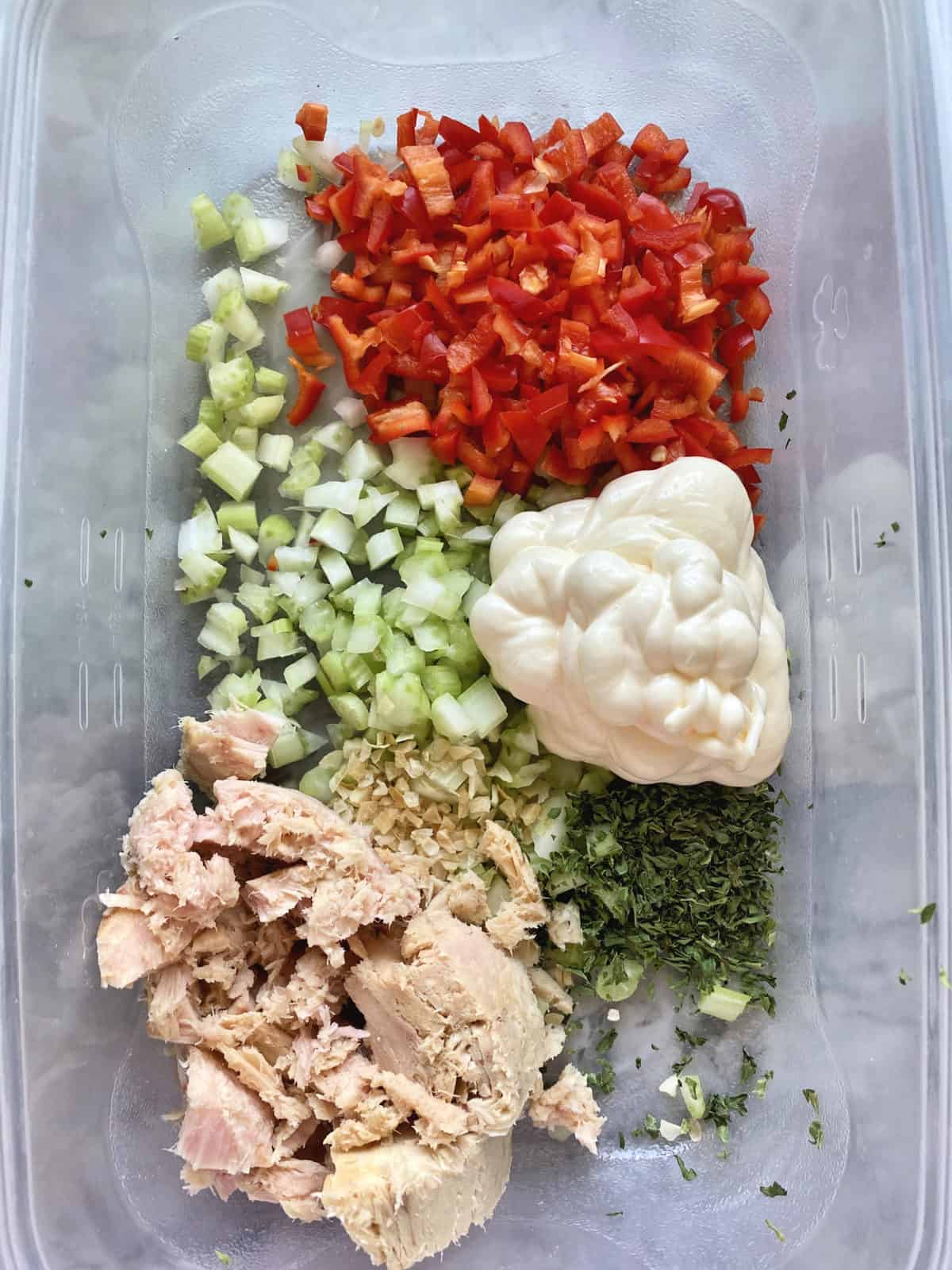 Top view tuna fish, dried onion, parsley, celery, bell peppers, and mayo in tupperware.