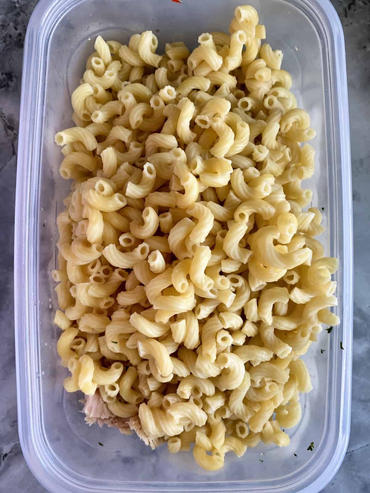top view of tupperware filled with cooked macaroni noodles.
