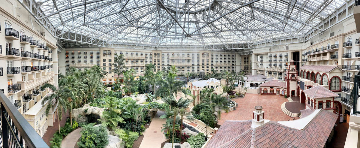 Overlooking atrium at the Gaylord Palms hotel with lush vegetation and pathways. 