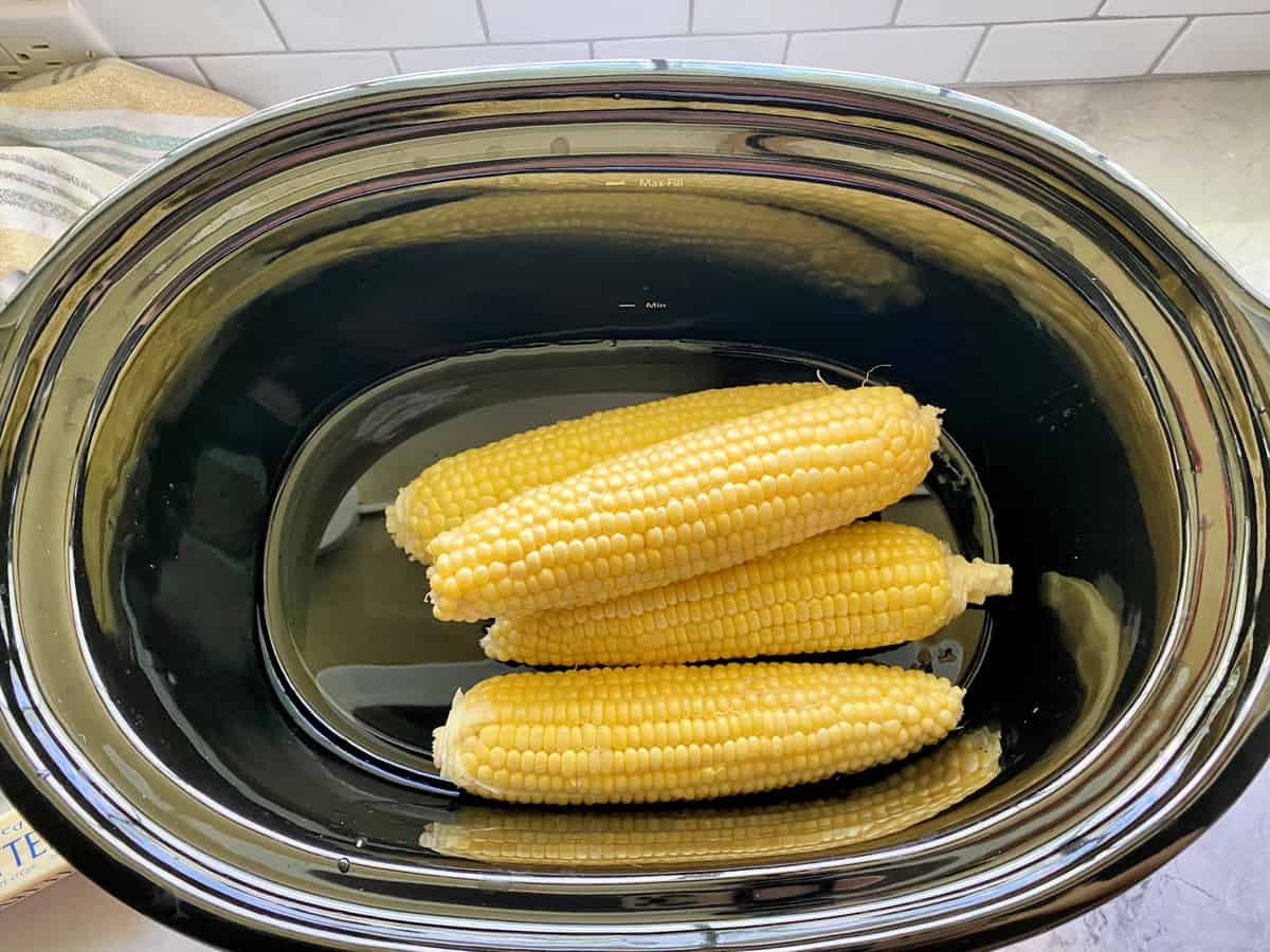 Top view of corn on the cob in a slow cooker with water.