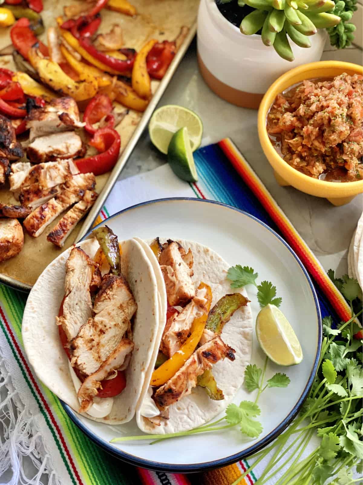 Top view of grilled chicken and peppers in two flour tortilla on a plate with salsa next to it.