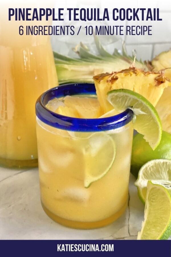 Pineapple Tequila Cooler Katie S Cucina,Red Ants With Wings In House