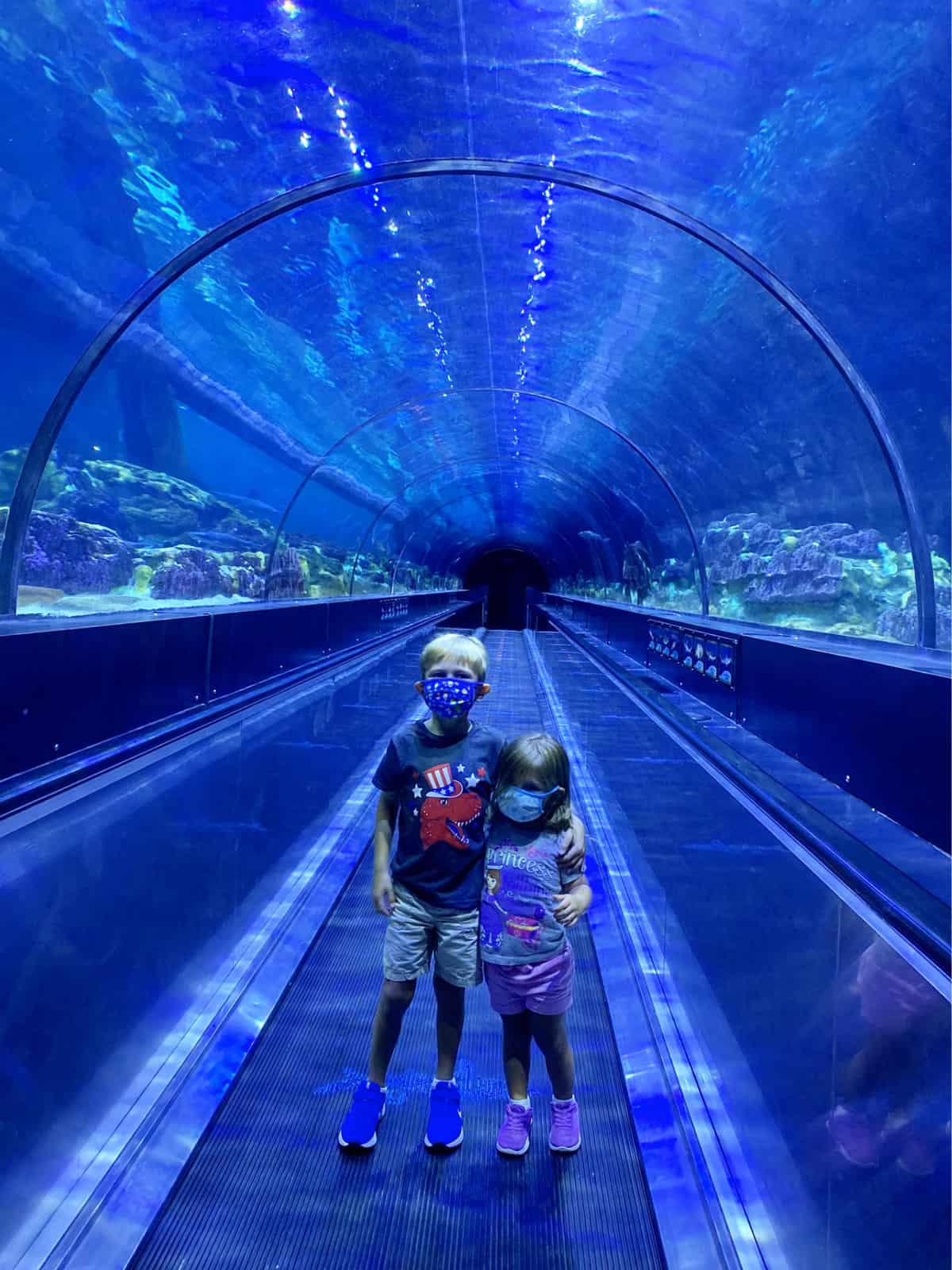 Brother and sister holding arms standing on an escalator in a glass aquarium tunnel.
