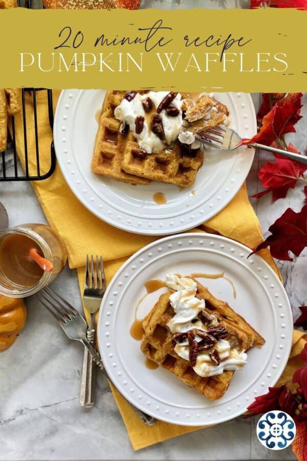 Top view of two plates of waffles with text on image for Pinterest.