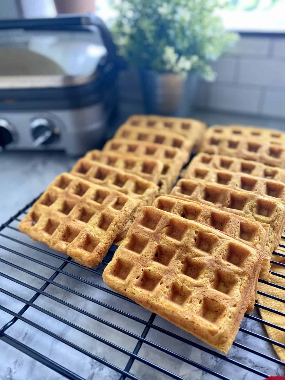 Rectangular waffles stacked on a black wire rack.