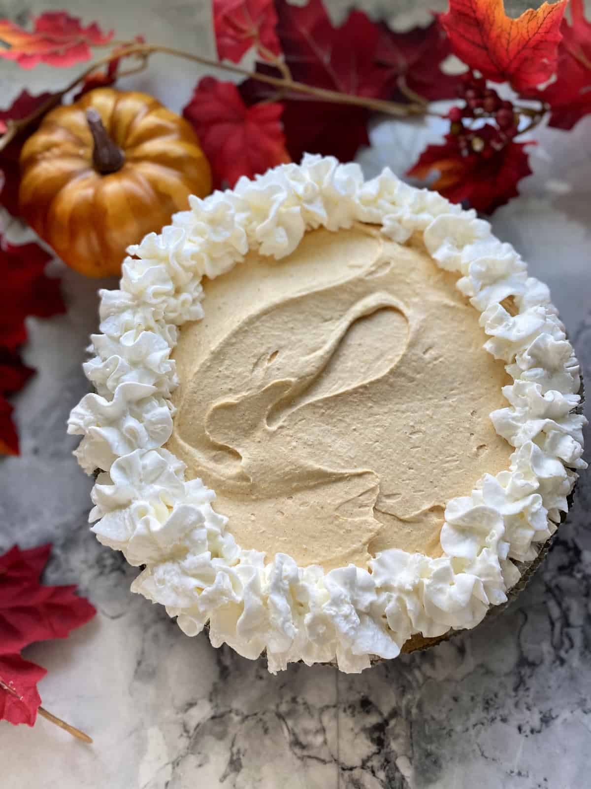 Full pumpkin cheesecake pie with fall leaves and pumpkins in background.