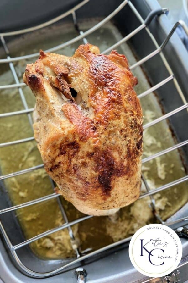 Close up of a golden brown roasted turkey breast in a roasting pan.