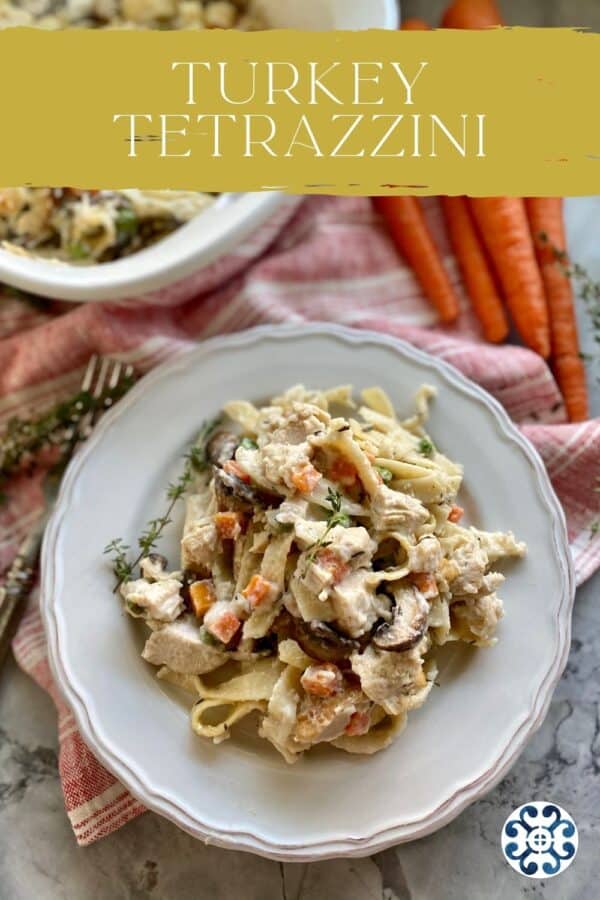 Top view of a plate of pasta with turkey and vegetables with text on image for Pinterest.