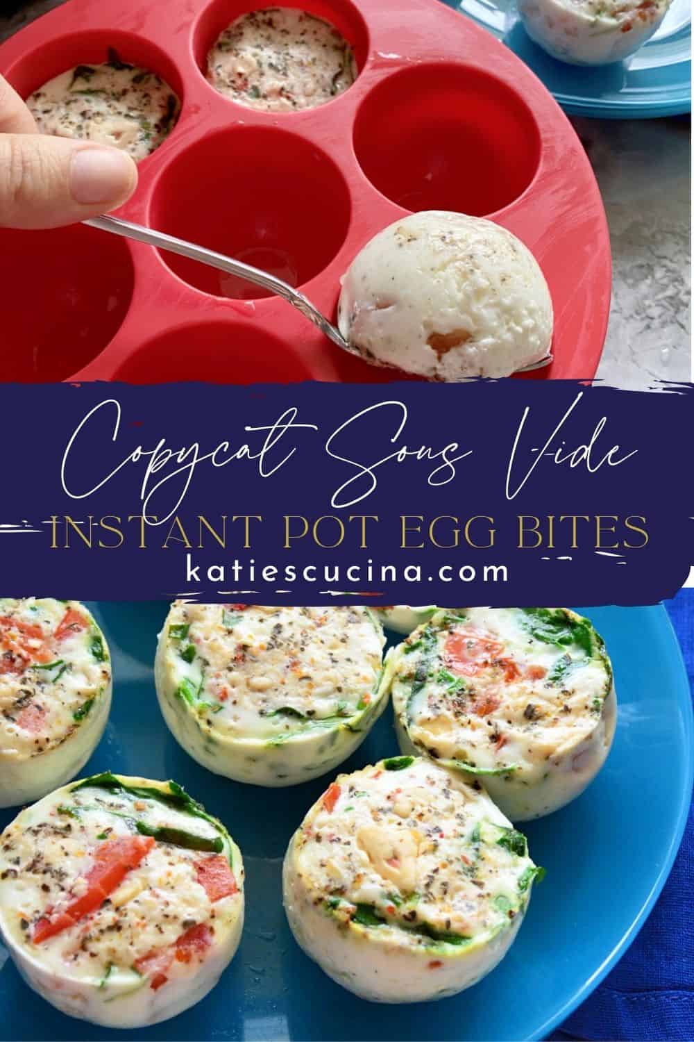 Instant Pot Egg Bites Katie's Cucina