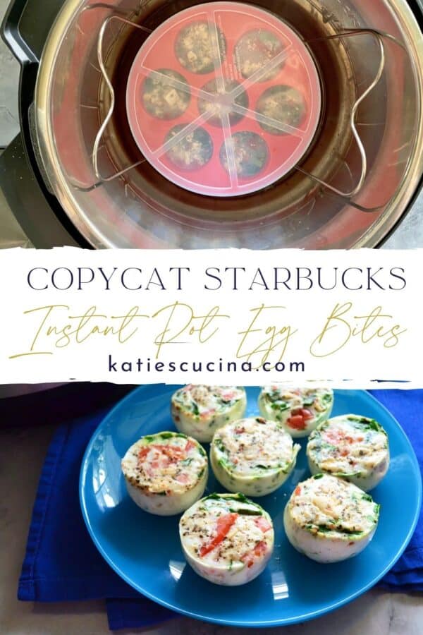 Copycat Starbucks Egg Bites (EASY Instant Pot Egg Bites Recipe)