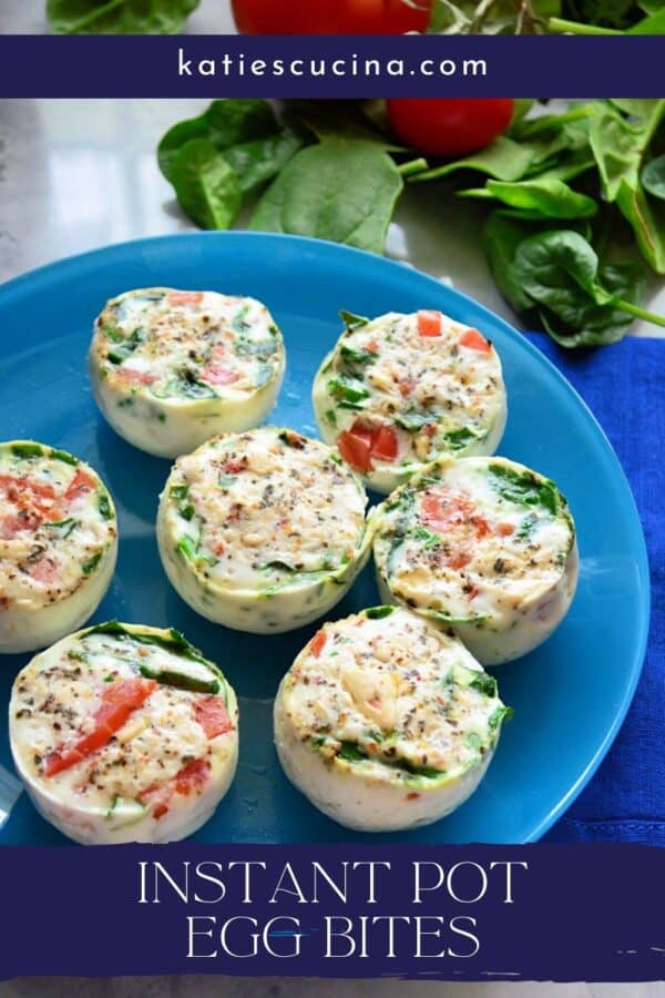 7 egg white bites on a blue plate with text on image for Pinterest.