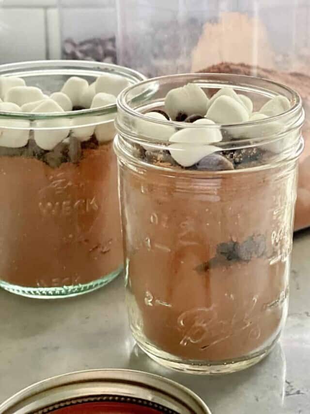 Hot Chocolate Recipe with Cocoa Powder