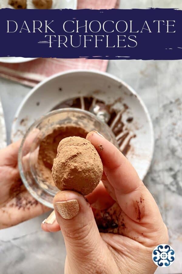 Female hand holding a cocoa powder dusted chocolate truffle with text on image for Pinterest.