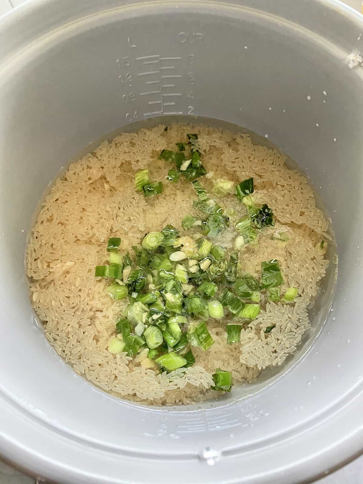 Rice in a silver rice cooker pot with green onions and water.