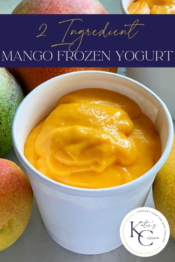 White container filled with orange soft serve yogurt with recipe title text on image for Pinterest.