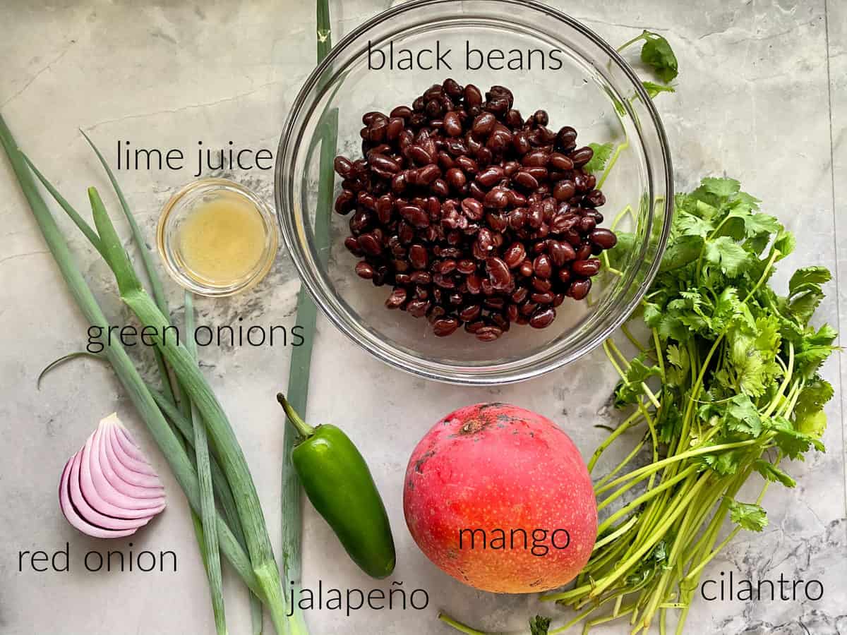 Ingredients on marble countertop: black beans, green onions, red onion, jalapeno, mango, cilantro, and lime juice.