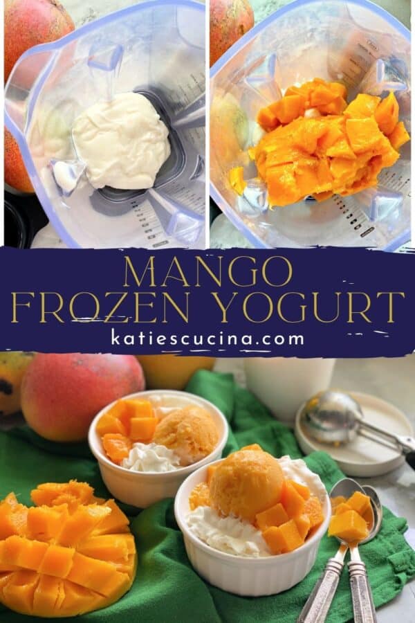 Three photos (top of making yogurt bottom of frozen yogurt in white bowls)divided by recipe title text for Pinterest.