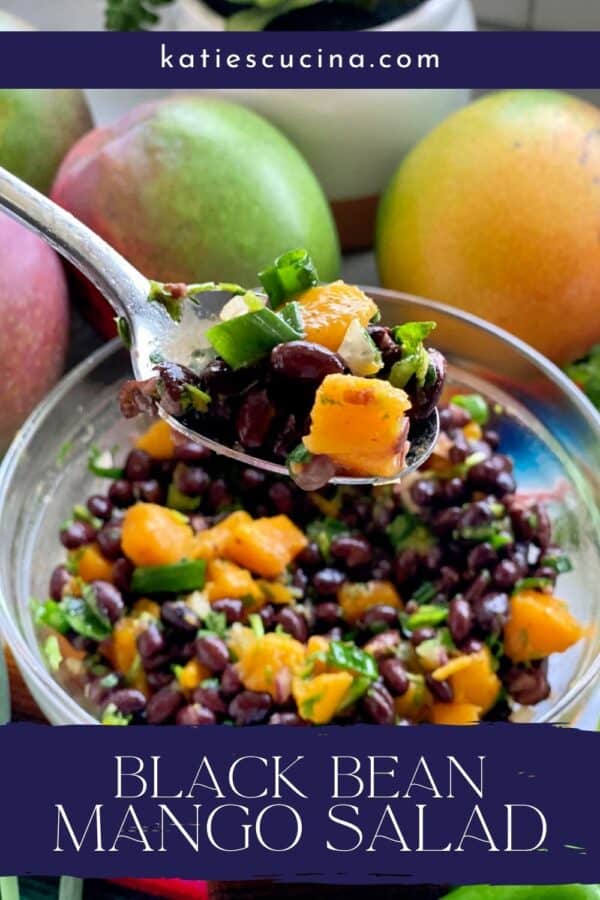 Spoon holding a scoop of black bean mango salad over a bowl with recipe title text on image.