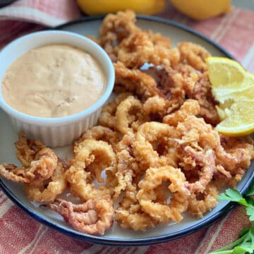 White plate filled with fried calamari with aioli dipping sauce.