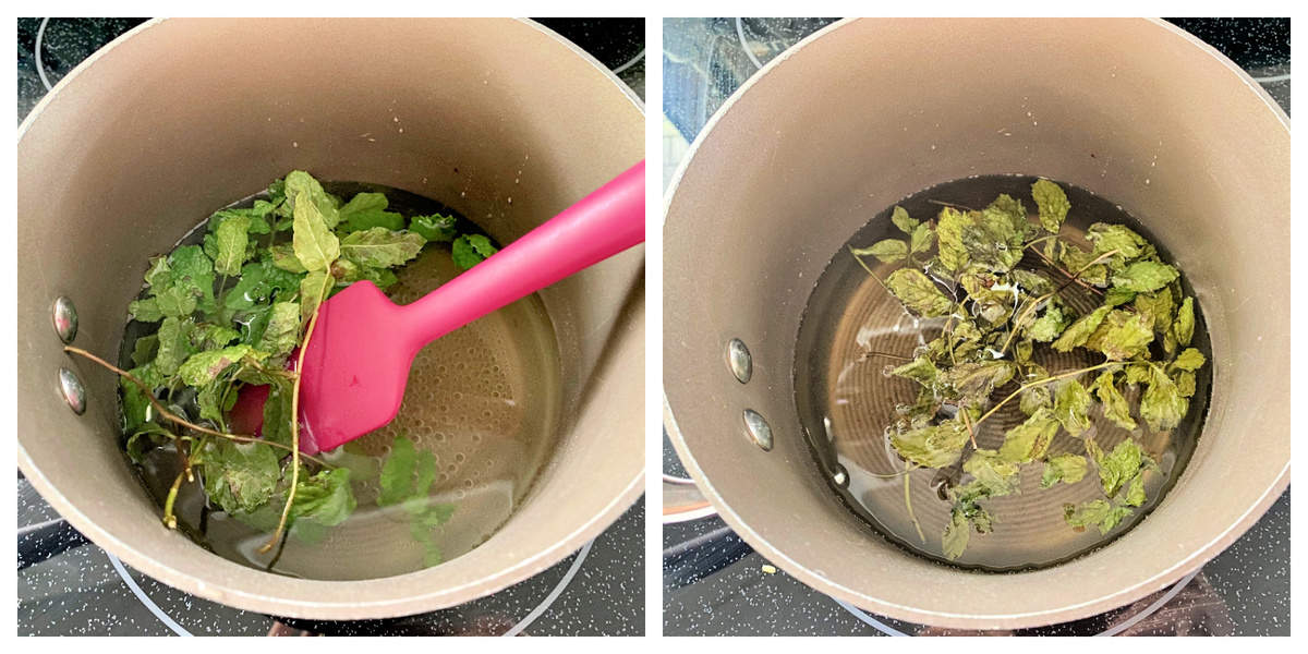 Two photos split; left of fresh mint leaves in liquid pot, right of wilted mint leaves in pot.