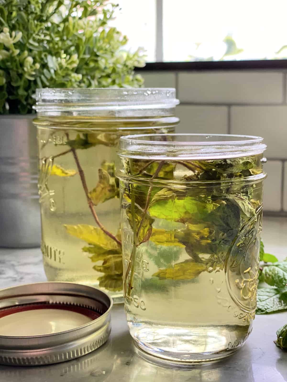 Two mason jars filled with mint sprigs and liquid.