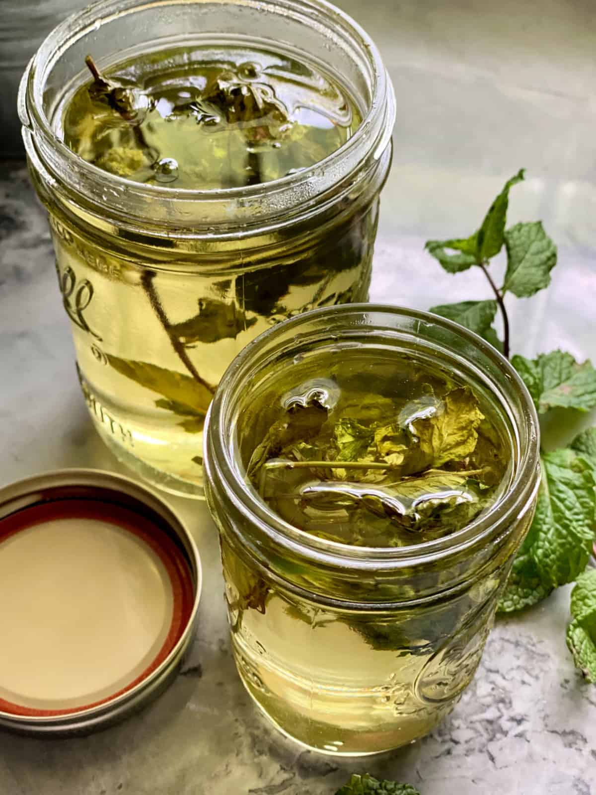 Two glass jars filled with clear liquids with mint sprigs and a canning jar on the side.