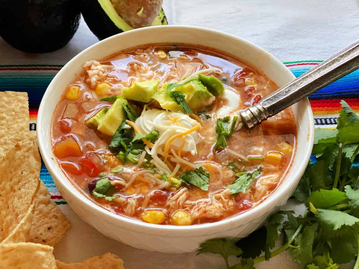 Chicken enchilada soup in white bowl on top of colorful blanket