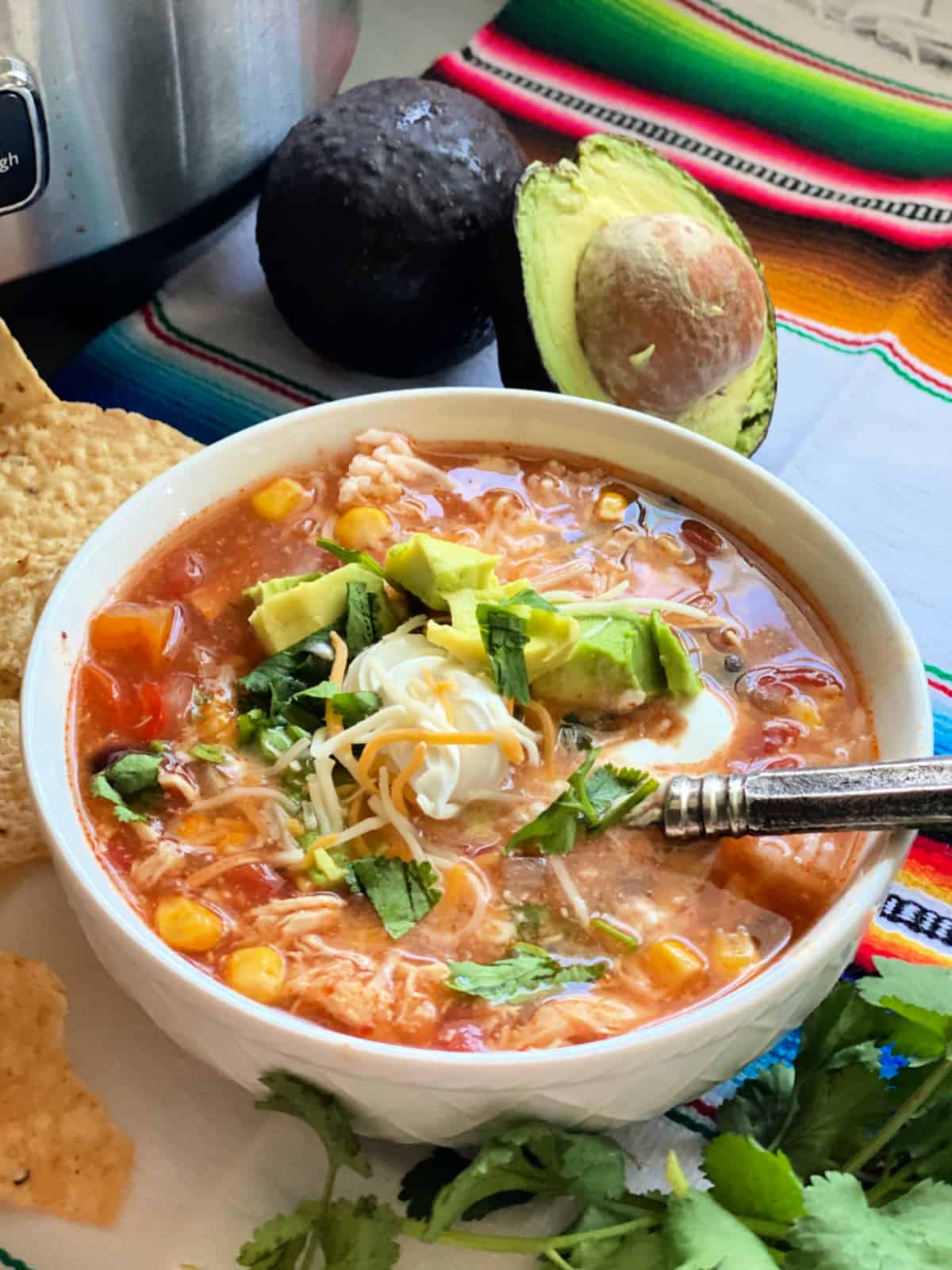 Chicken enchilada soup in white bowl on top of colorful blanket