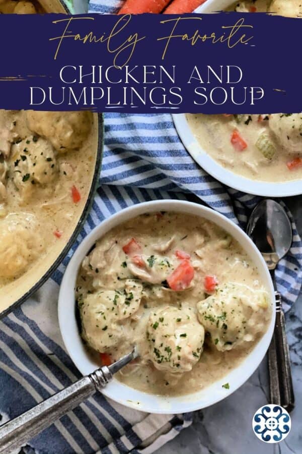 Chicken and dumpling soup in white bowl on top of blue and white kitchen towel, title text above