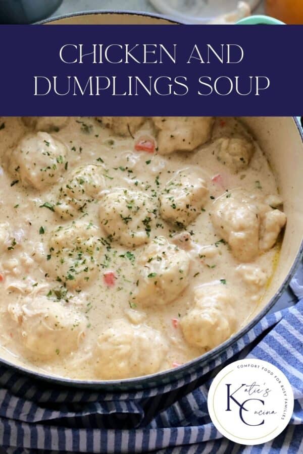 Chicken and dumpling soup in pot on top of blue and white kitchen towel, title text above