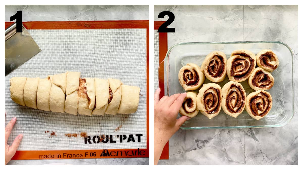 rolled dough cut and cinnmaon rolls placed in glass baking tray.