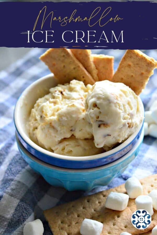 Light blue and dark blue bowl stacked with ice cream and graham crackers with recipe title text for Pinterest.