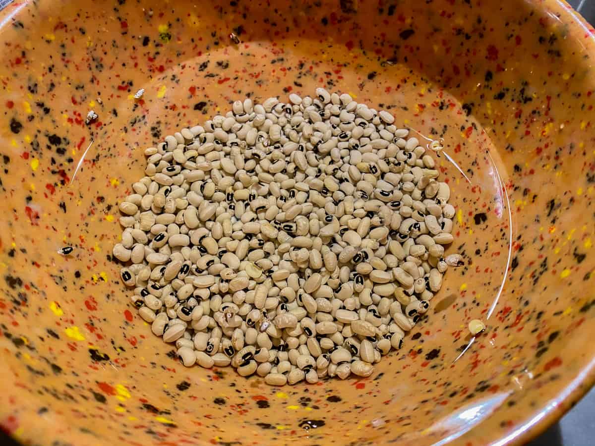 Orange speckled bowl filled with water and fresh black eyed peas beans.