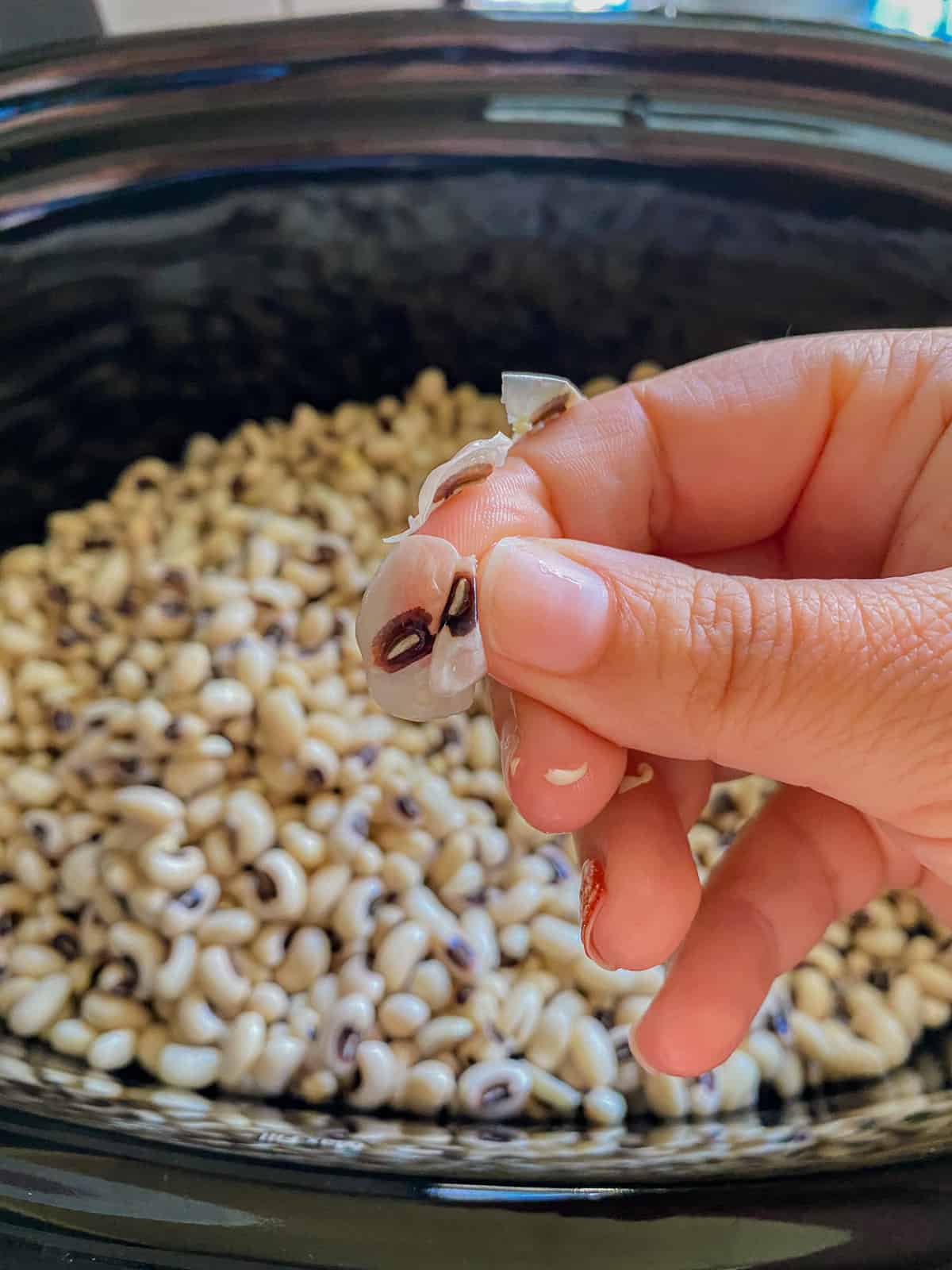 Female hand holding skin of black eyed peas.